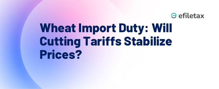 Wheat Import Duty: Will Cutting Tariffs Stabilize Prices?

